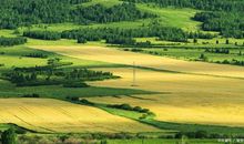 写事作文：劳动，成就幸福的美好