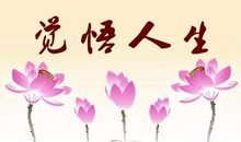 法制使人生更美好_1200字