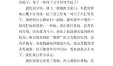 打雪仗周记400字