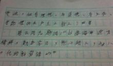 游玩五一广场-劳动节游记作文400字