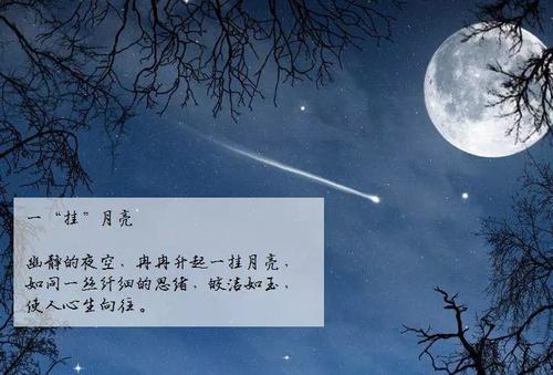 在友谊中找寻自己 读《秘密花园》有感700字