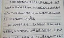 【教资】50分作文不会写？高分作文直接套：《拒绝“好意”》