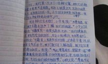 蒙眼猜人-有趣的游戏作文400字