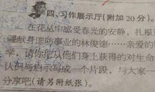 生命的启示-小学记叙文300字