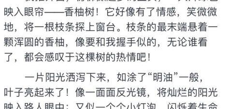 这2篇作文，哪一篇是A类卷？累计超过1000篇作文测分神器！写完作文记得来测试！ 1