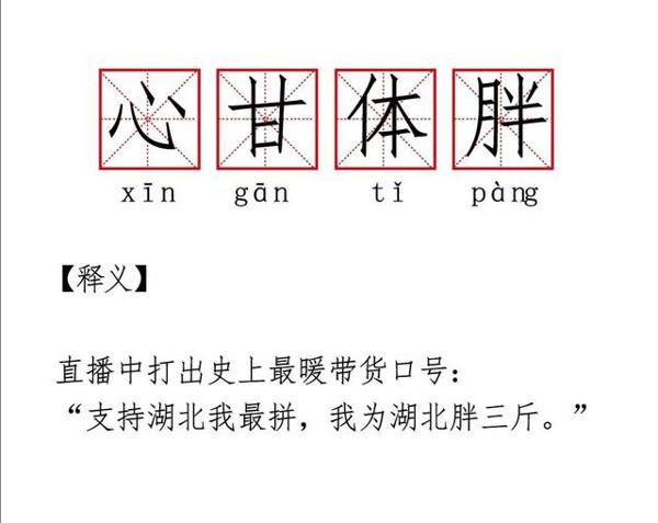 播新闻不拘一格，为湖北带货五亿，央视朱广权，作文素材，新又好 7