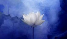 学生作文：问灵魂