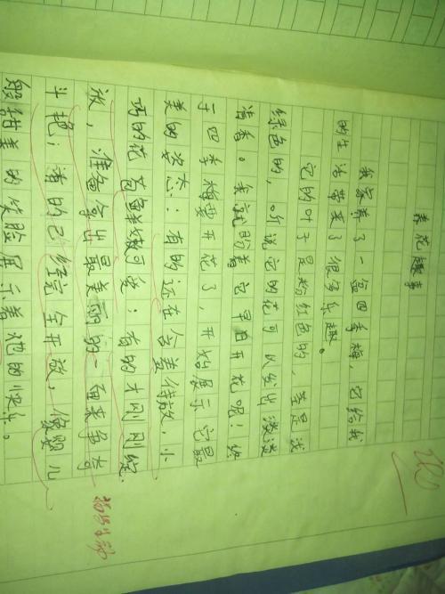 2009年安徽高考满分作文：抓住机遇，成就伟岸_1500字
