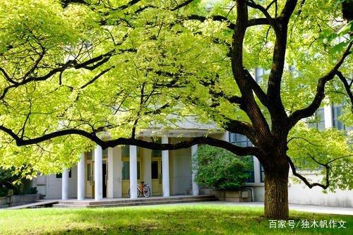 三年级作文：校园一角