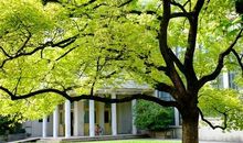 三年级作文：校园一角