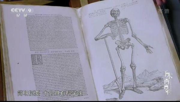 豆瓣9.3,给这部「满分作文」 30