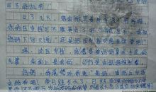 2020寒假见闻小学作文