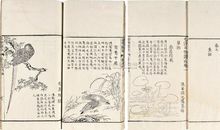 鲁阳老师作文工作室第一期现代诗会