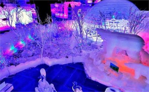 赏冰灯 冰雪节作文1000字