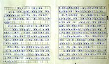 竞选的感受 六年级叙事作文400字