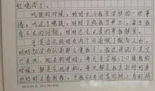 初三纪实 初三生活400字作文