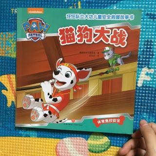 猫狗大战-童话故事作文600字