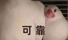 用对这个得分技巧，教资作文拿高分