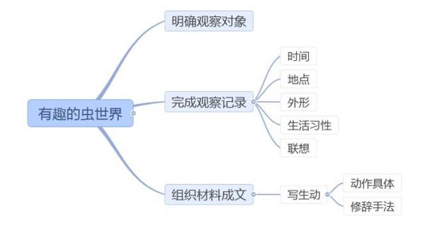 等疫情过了 我们一起去做这件事 | 学科作文练写手册 科学作文：有趣的虫世界