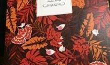 英雄与时代同在——《人类群星闪耀时》读后感