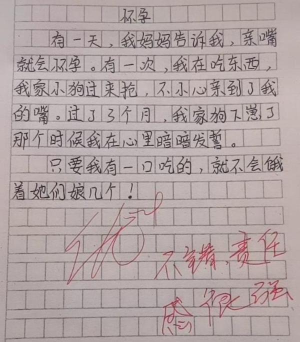 小学生作文《怀孕》火了,老师称其责任感强,网友感叹“萌翻了” 4