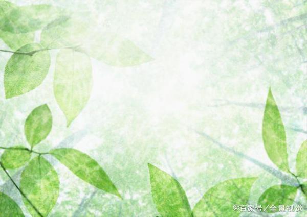 初中生半命题作文:(填人名),您真是我的榜样 1