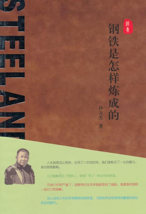 钢铁是怎样炼成的读书随想800字