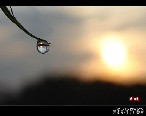 初中生半命题作文:(填人名),您真是我的榜样 2