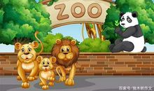 二年级作文：有趣的动物