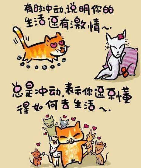 我尝到了酸甜苦辣的滋味_550字