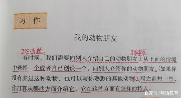 四年级下册作文指导:我的动物朋友 1
