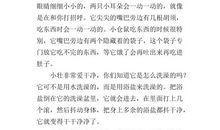 神仙鱼-可爱的小动物作文300字