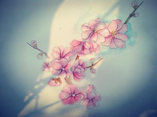 满分作文：我在花季（花季中不仅仅有绽放，更有着成长）