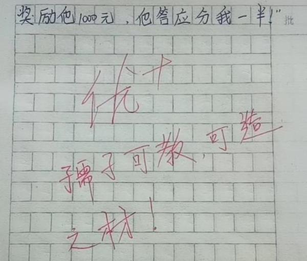 小学生作文《怀孕》火了,老师称其责任感强,网友感叹“萌翻了” 1