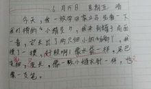 变形记六年级作文素材