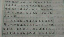 谢谢你你的眼睛作文800字