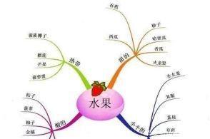 用思维导图构思作文 3