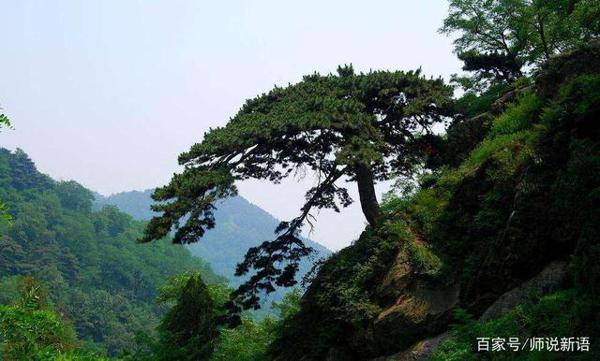 中学高考模拟作文题,给许可馨写一封信,学生:不能骂人好难写 4