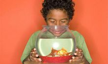 小作文：我思故我在