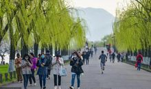 高考作文辅导 名师点拨作文思想如何用生动的语言表达