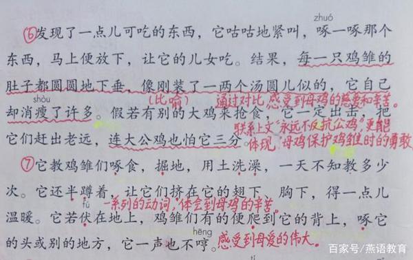 四年级下册作文指导:我的动物朋友 4