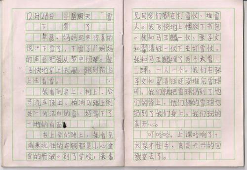 王爷爷 初中生写人作文700字