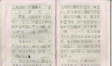 王爷爷 初中生写人作文700字