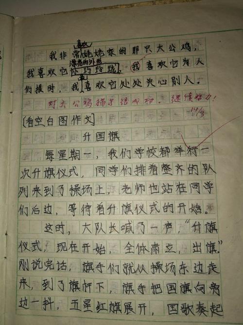 我最亲爱的姥姥 写给敬爱的姥姥的一封信400字