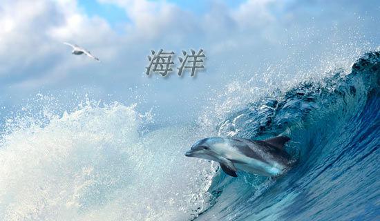关于自律的作文：自律