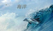 关于自律的作文：自律