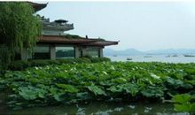 西湖游记 西湖旅游作文300字