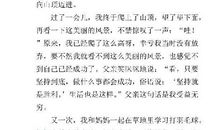 坚持就是胜利 爬山作文800字