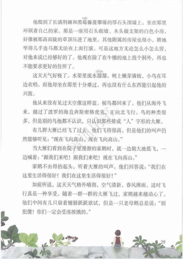 【小中衔接】六下第二单元作文读写专项练习 7