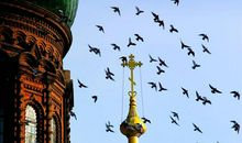 高考作文升格：想要50+ 段首句、段尾句、衔接句应该这么写